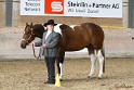 23-APHA SS_019